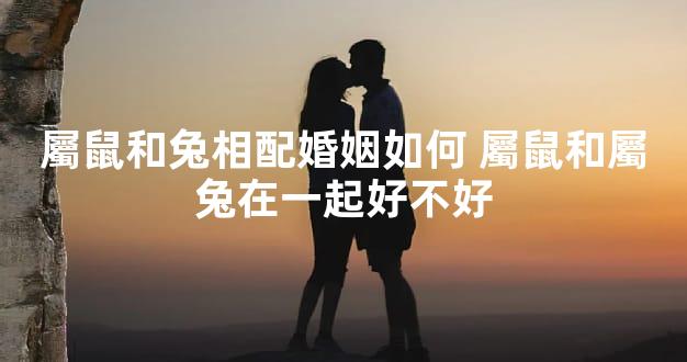 屬鼠和兔相配婚姻如何 屬鼠和屬兔在一起好不好